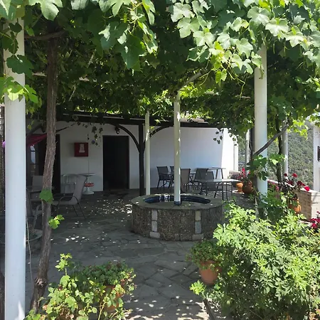 Zeus 3 Beds Panajía